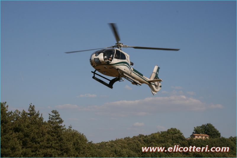 elifoto (146)